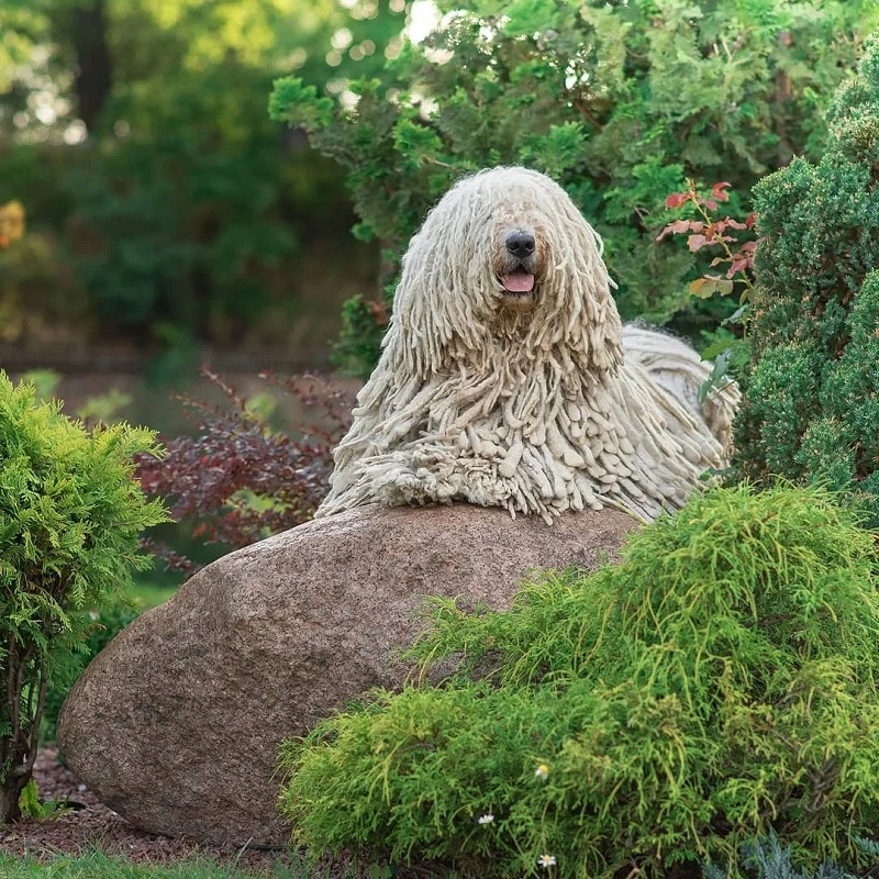 The Komondor puppy prices